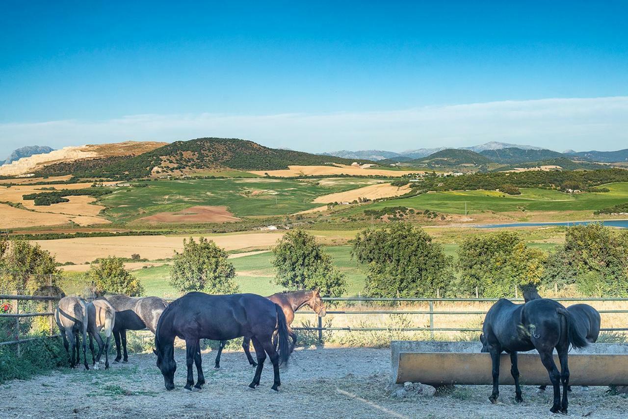 ארקוס דה לה פרונטרה Alterhome Private Villa Cortijo Sierra Y Lago מראה חיצוני תמונה