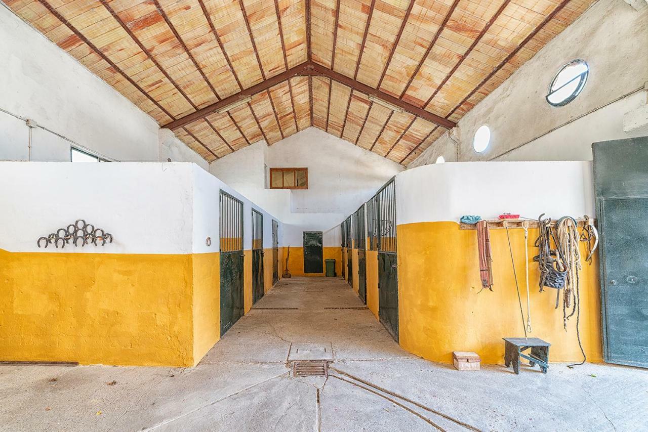 ארקוס דה לה פרונטרה Alterhome Private Villa Cortijo Sierra Y Lago מראה חיצוני תמונה