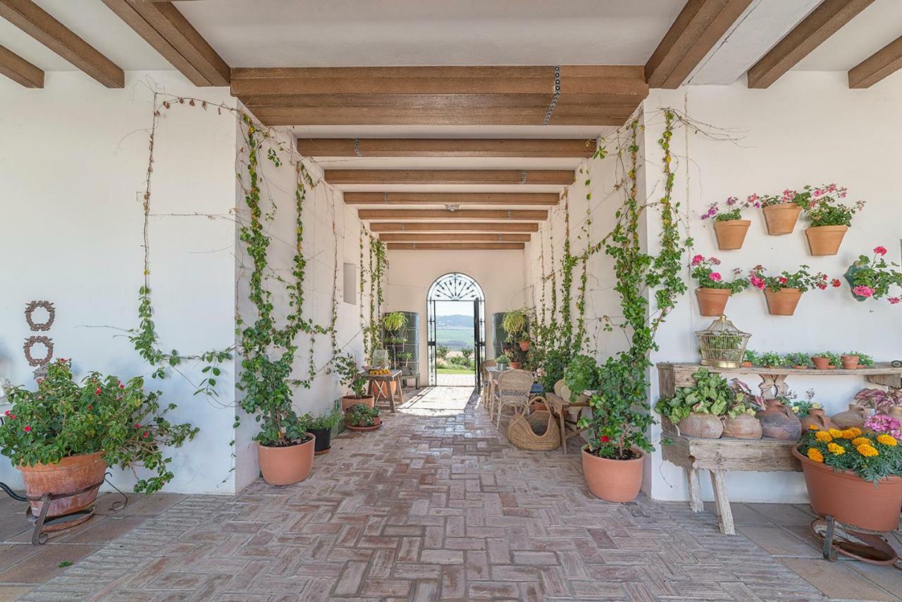 ארקוס דה לה פרונטרה Alterhome Private Villa Cortijo Sierra Y Lago מראה חיצוני תמונה