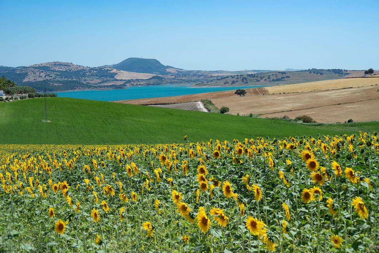 ארקוס דה לה פרונטרה Alterhome Private Villa Cortijo Sierra Y Lago מראה חיצוני תמונה